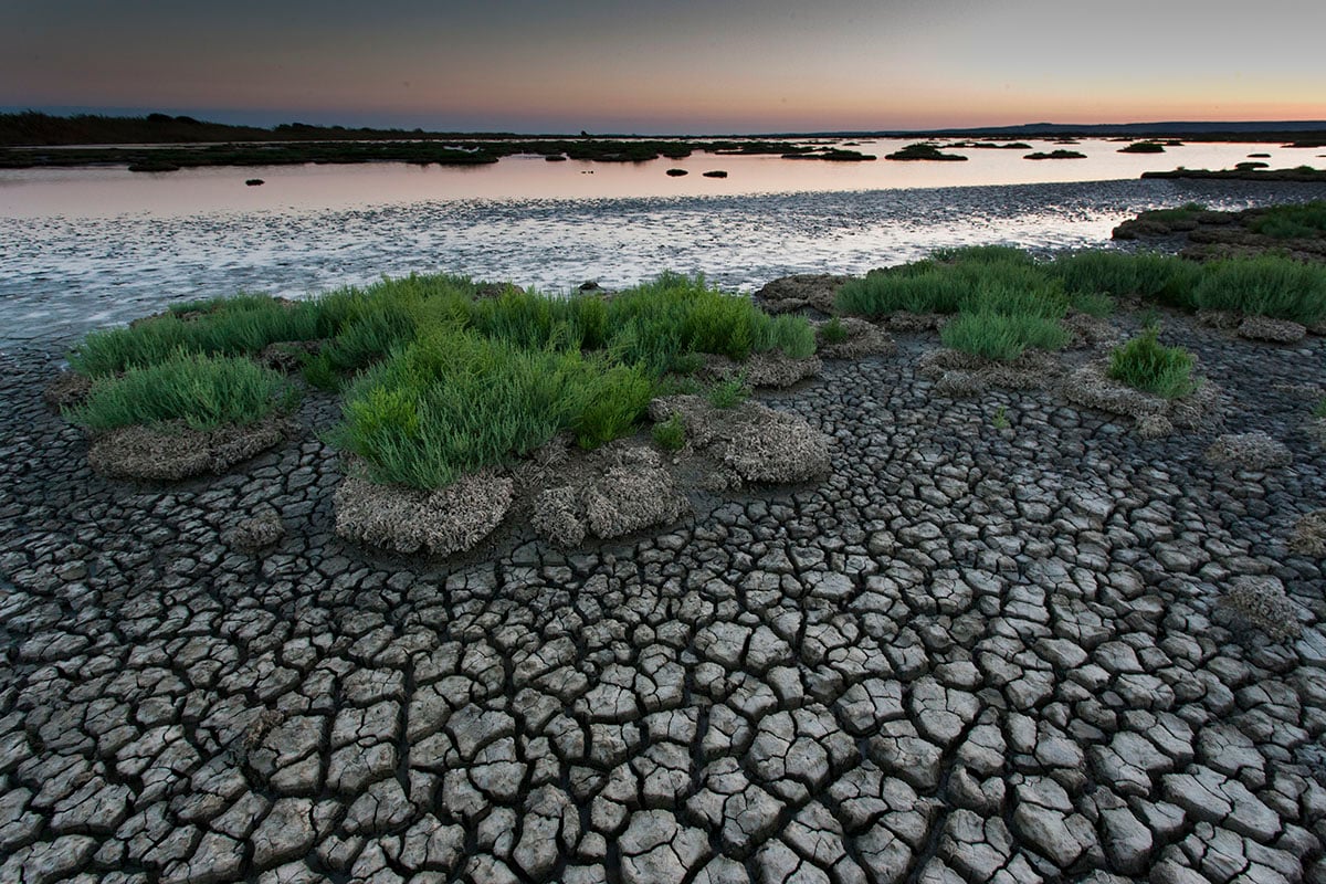 Gabriele Espis - Wetlands: le terre d’acqua